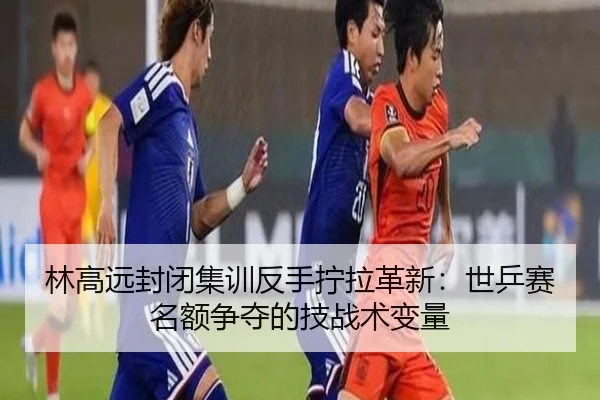 林高远封闭集训反手拧拉革新：世乒赛名额争夺的技战术变量